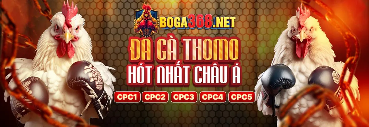 Tin tức và cập nhật mới nhất từ gg8844 nhà cái