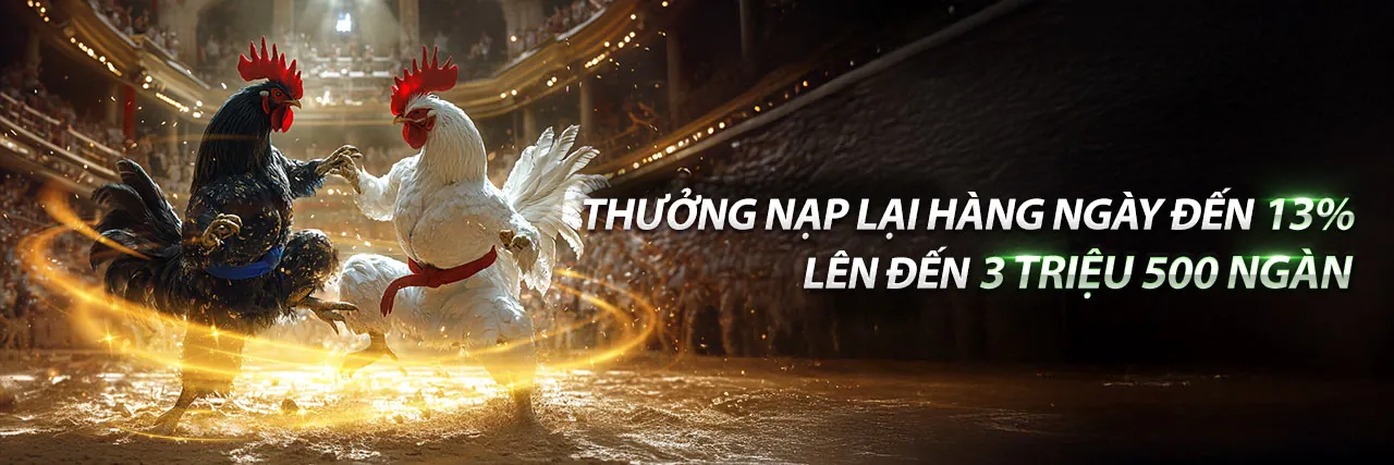 Hình ảnh Điều Khoản Dịch Vụ của gg8844 nhà cái